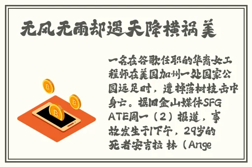 天堂1妖精9魅能带几个宠物